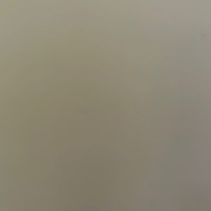 Meet your Posher, Booboo